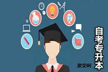 “市场营销专业深度解析 拥抱变化的商业智慧者”,